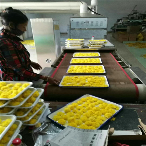 Hemp Flower Drying Machine Chamber Thickness: 2.0 Millimeter (Mm)