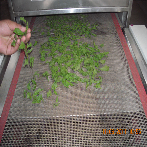 Hemp Flower Drying Machine Chamber Thickness: 2.0 Millimeter (Mm)