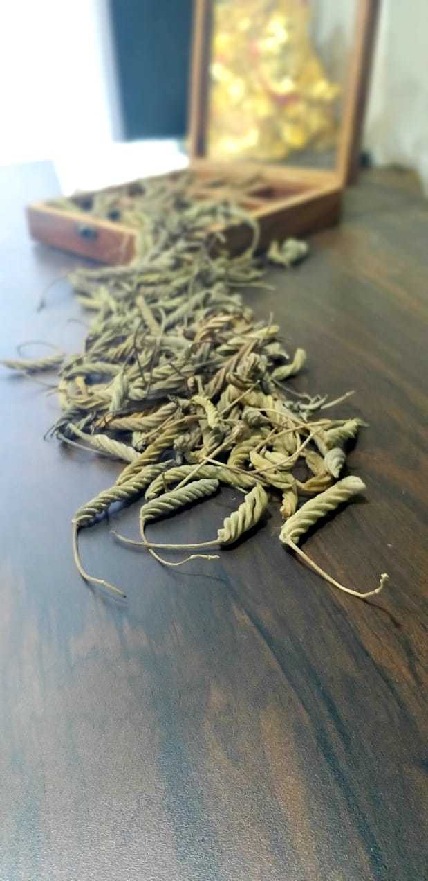 Screw Pods - Dried Herbal Blend Of Helicteres Isora, Rich In Antioxidants | Suitable For All Ages, Store In A Dry Place