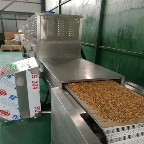 Continuous Microwave Rice Sterilizing Machine Chamber Thickness: 2 Millimeter (Mm)