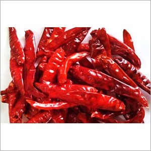 S17 Teja Red Chilli - Length 6-8 cm, Pungency 75000-110000 SHU, Thin Skin, Bright Red Color | Raw, Stick Shape