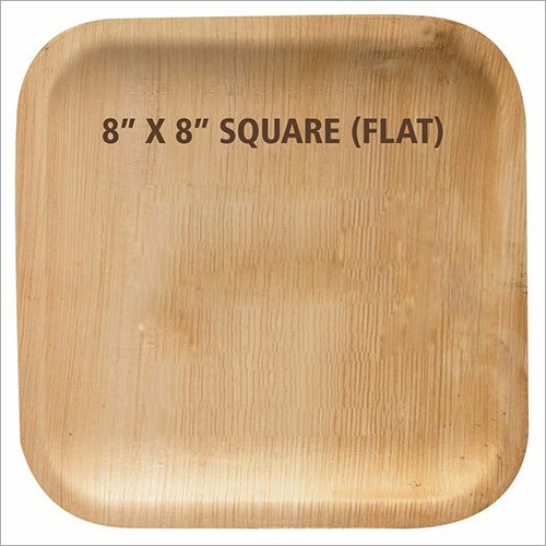 बायोडिग्रेडेबल एरेका लीफ प्लेट आवेदन: पार्टी सप्लाई