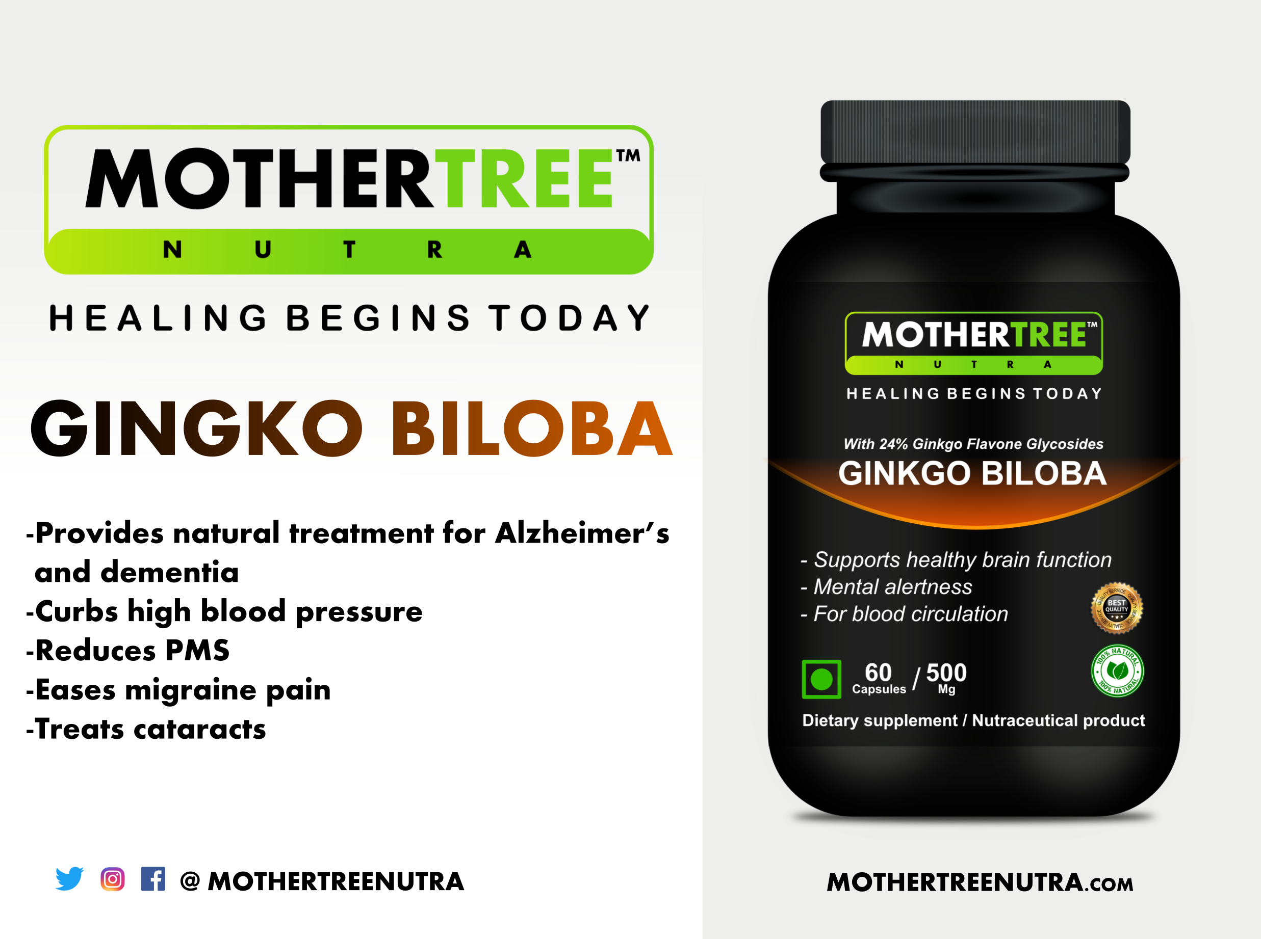 Ginkgo Biloba Capsules Ingredients: Moringa Leaf Extracts