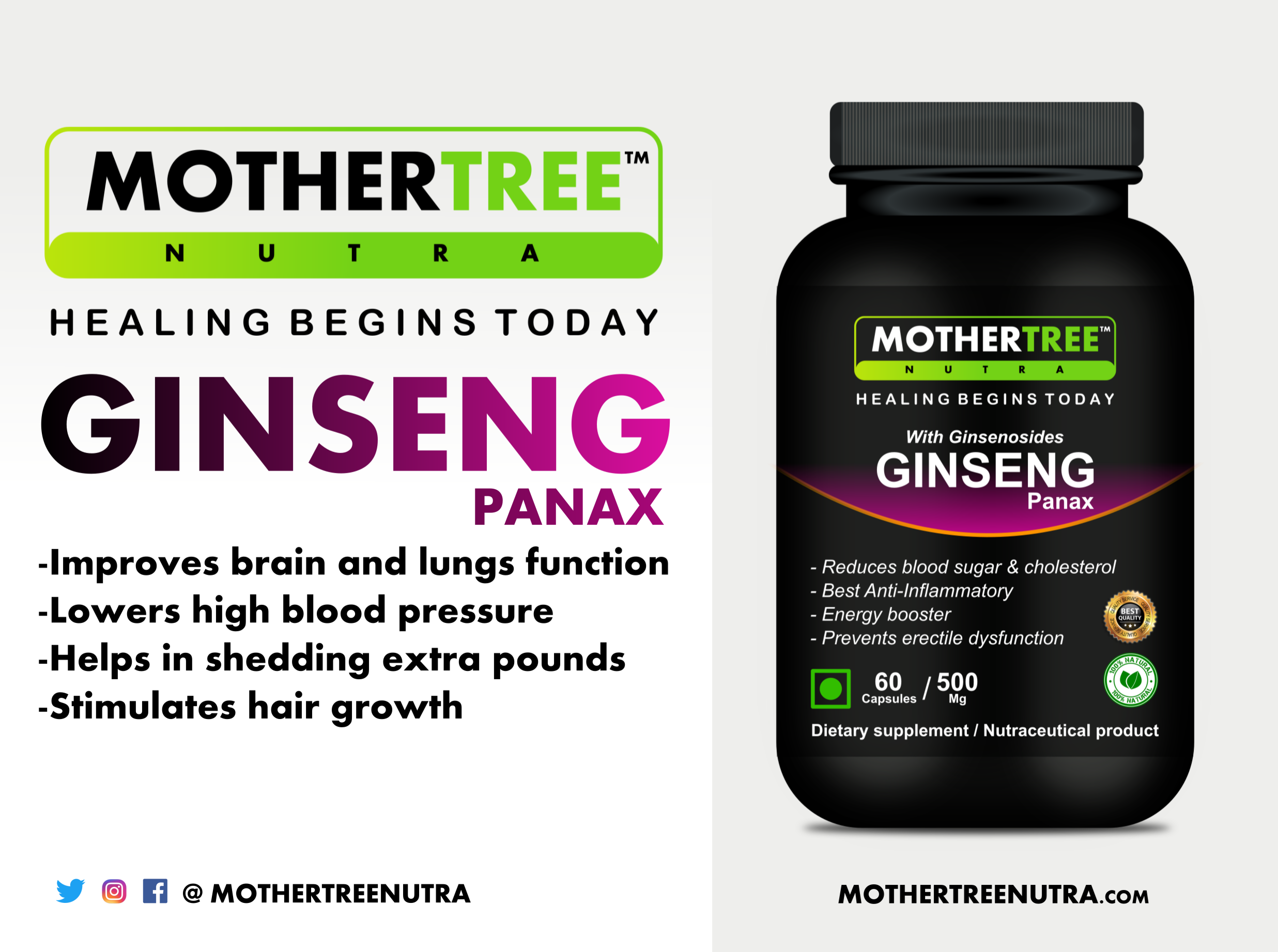 Panax Ginseng Capsules Ingredients: Moringa Leaf Extracts