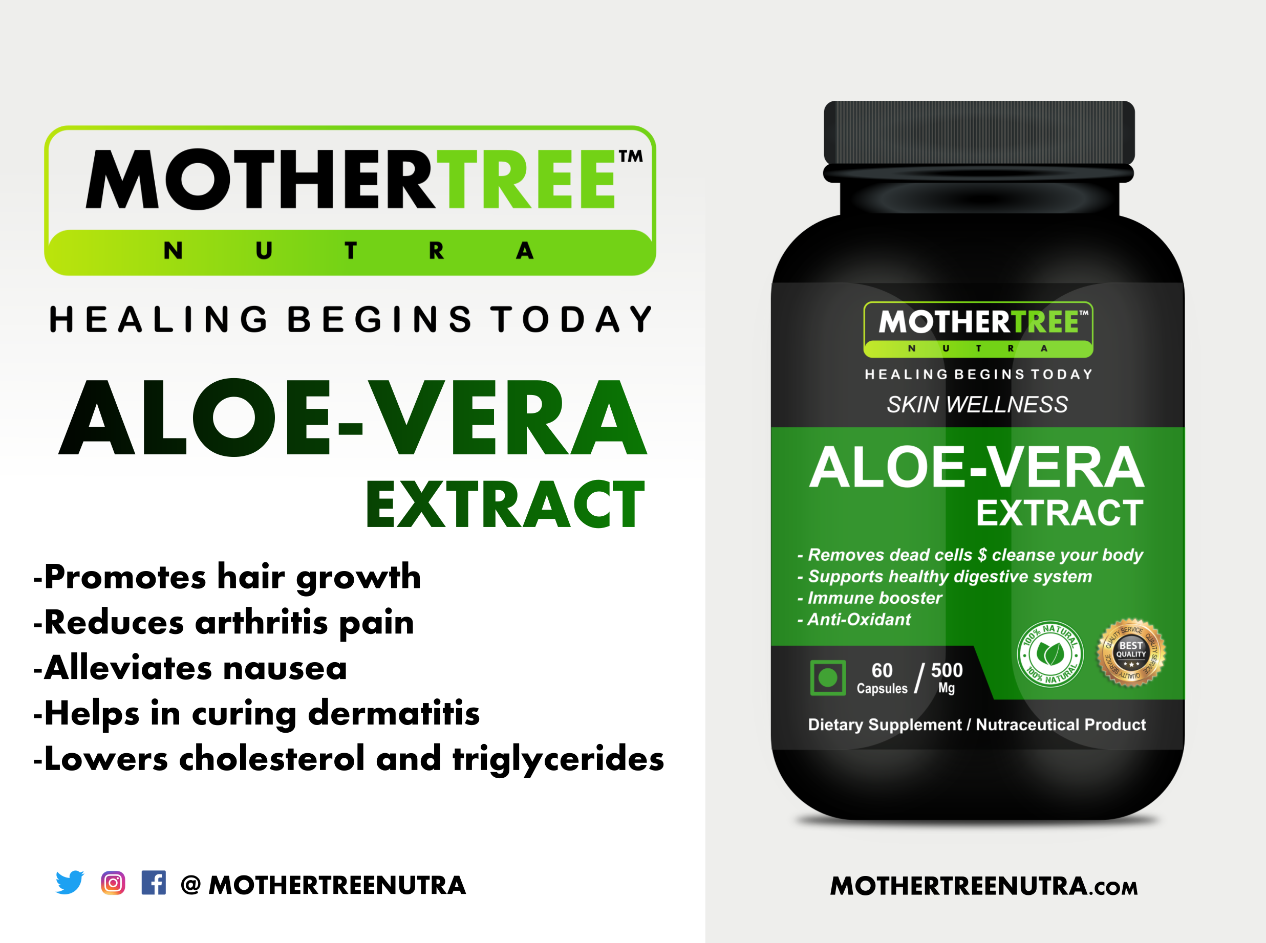 Aloevera Capsules Efficacy: Promote Nutrition