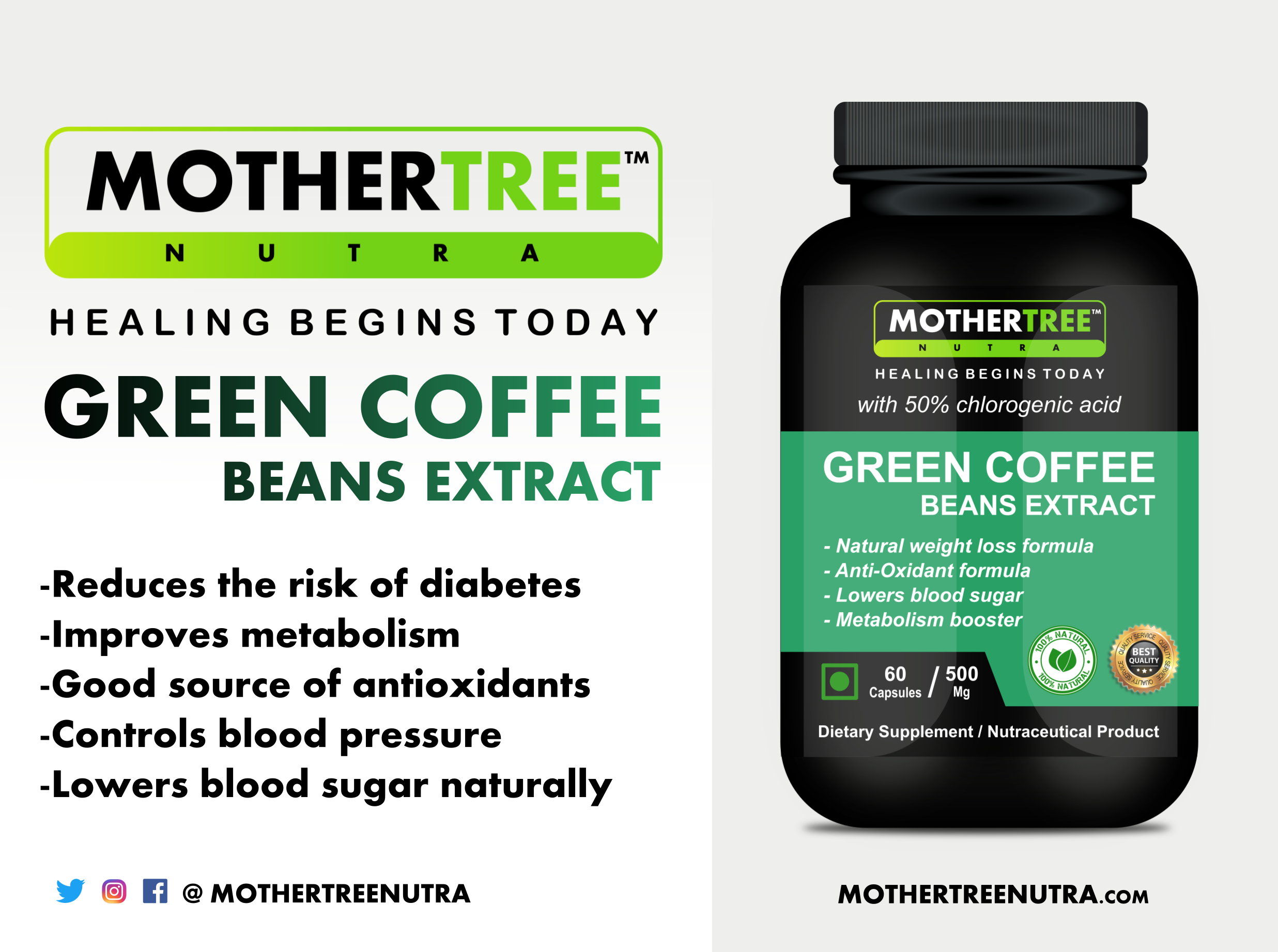 Green Coffee Beans Capsules Efficacy: Promote Nutrition
