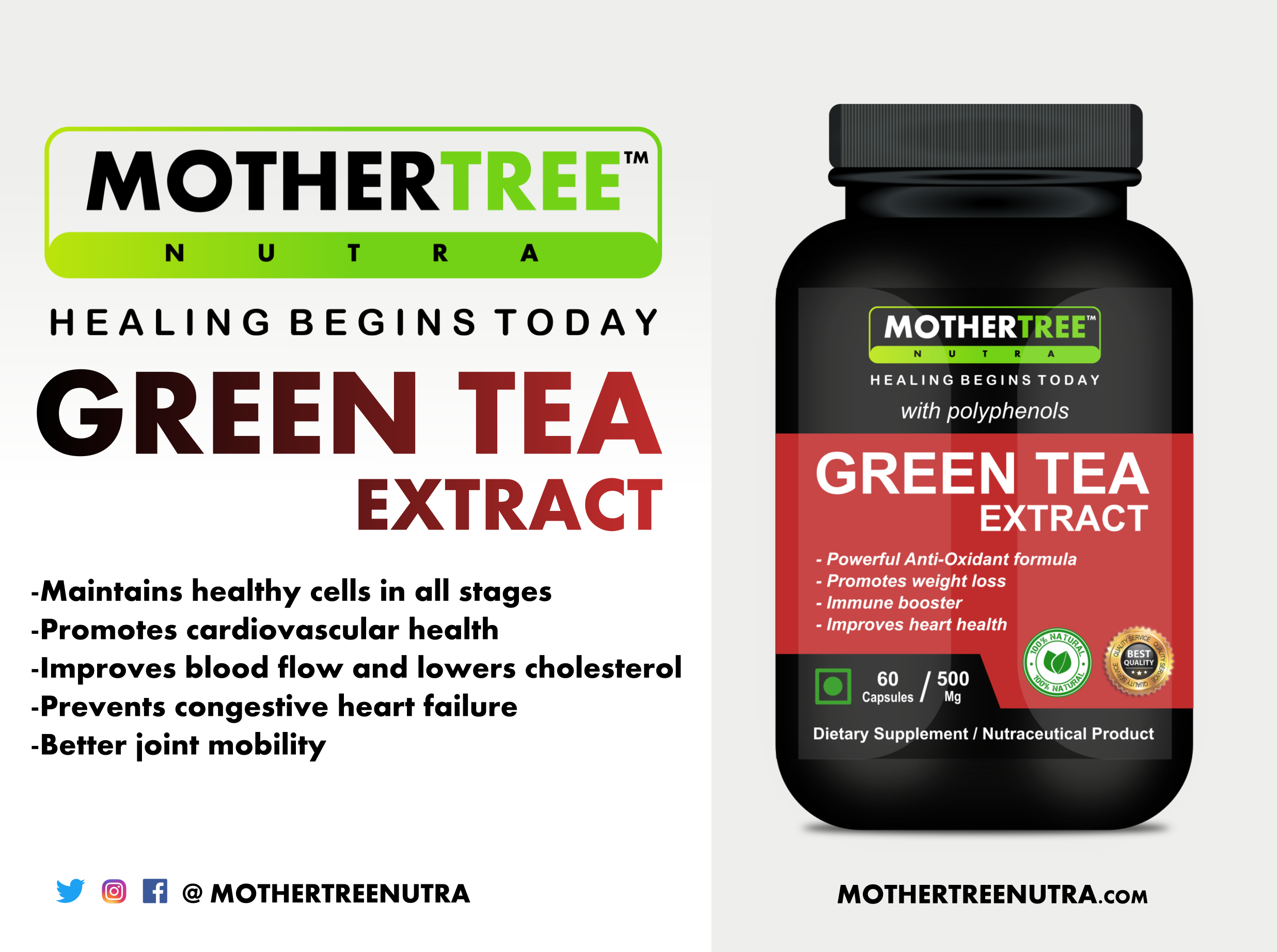 Green Tea Extract Capsules - 500mg, 100% Pure Antioxidant Formula For Weight Loss, Immune Boosting, Heart And Brain Health Support
