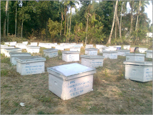 शहद उत्पादन इकाई