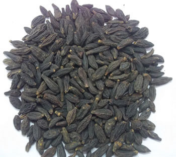 Terminalia Chebula Black Age Group: Suitable For All