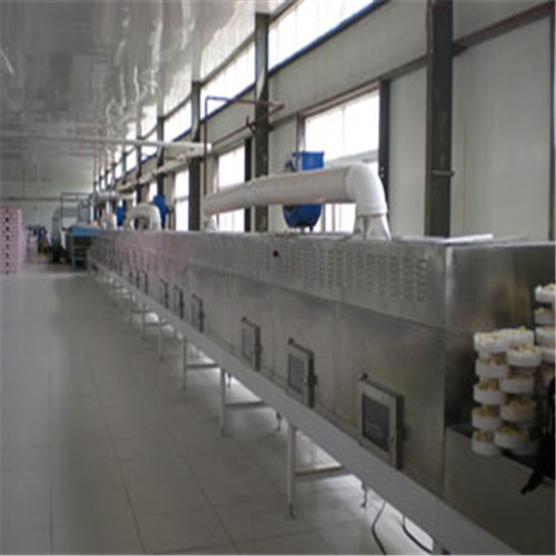 Paper Core Horizontal Microwave Belt Dryer