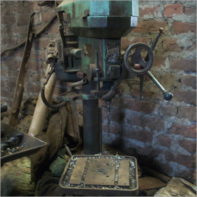 हमारे पौधे