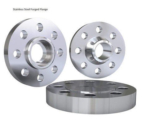Stainless Steel Ss Forged Flange