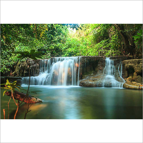 Pvc Nature Wallpaper