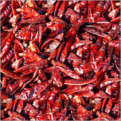 Dry Red Chilli - Organic, Long Size, Red Color | Spicy Flavoring Agent, Dried Texture, 5 Months Shelf Life