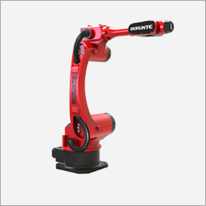 Borunte Robot