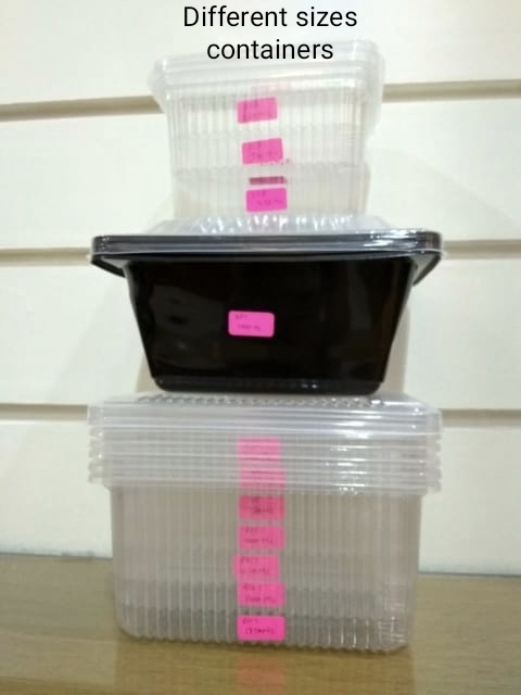 Plastic Takeaway Container - 190x140 Mm, 1750 Ml, Transparent Polypropylene | Food Grade, Microwave Safe, Disposable, Reusable, Ideal For Events And Parties