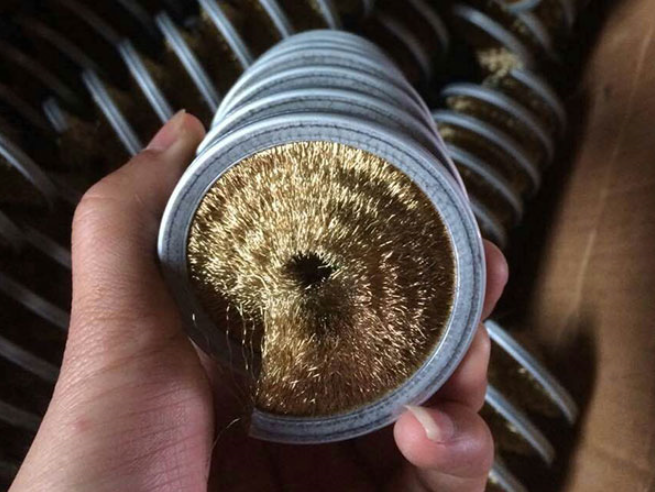 Could Be Customized Spring Brush