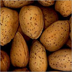 Shelled Almond