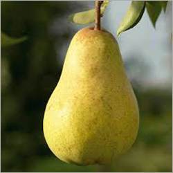 Green Fresh Pear