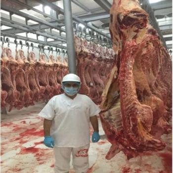 Frozen Meat