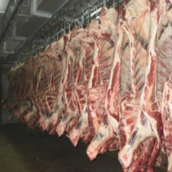 Frozen Meat