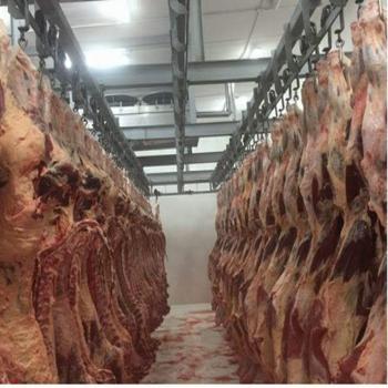 Frozen Meat