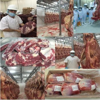 Frozen Meat