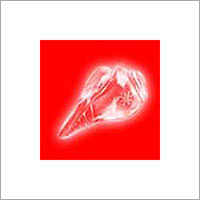क्रिस्टल शंख