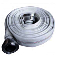 सीपी नली