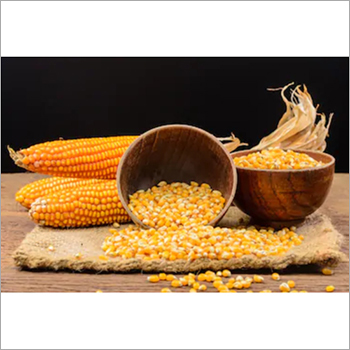 Organic Yellow Maize