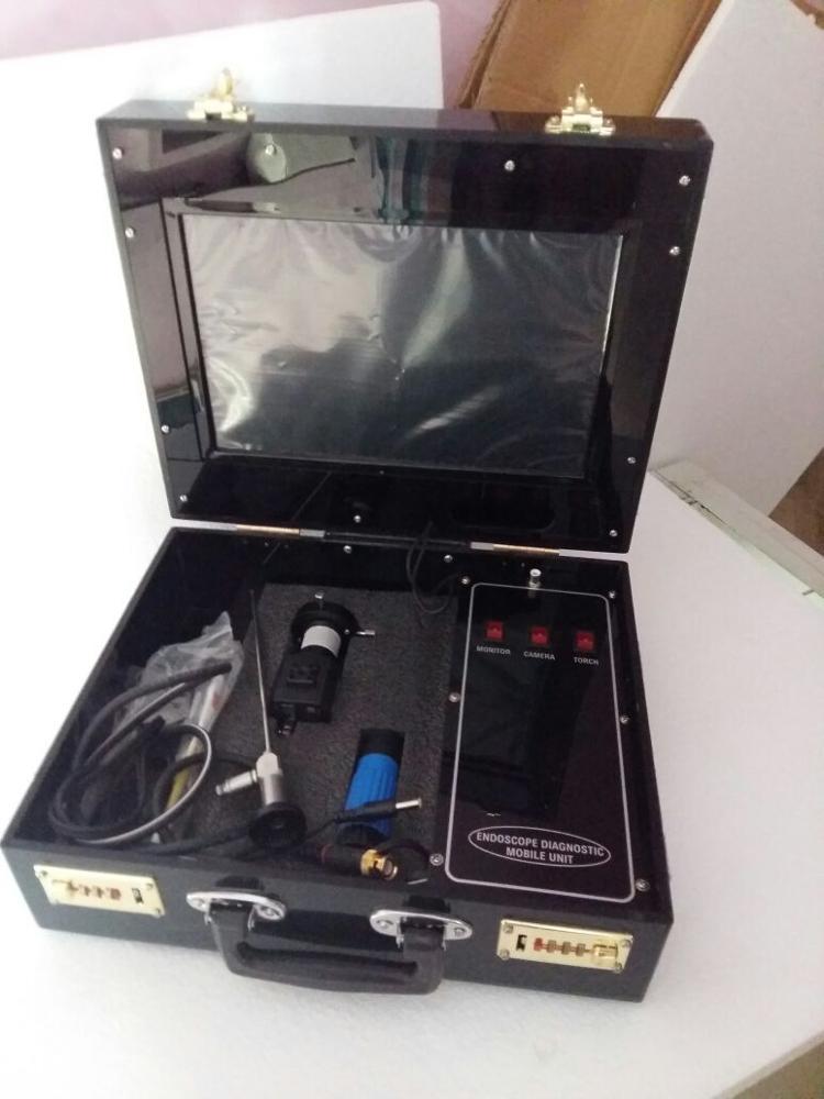 Portable Mobile Endoscopy