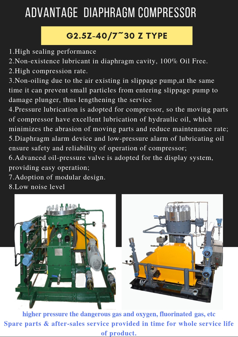 Oil-free High Purity Oil Free Diaphragm Compressor