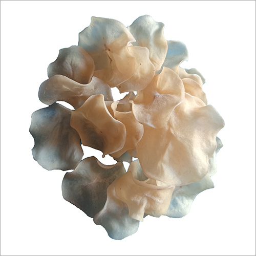 सादा चिप्स