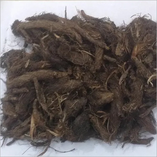 जतामासी (Nardostachys jatamansi)