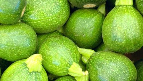 रेड स्क्वैश सीड