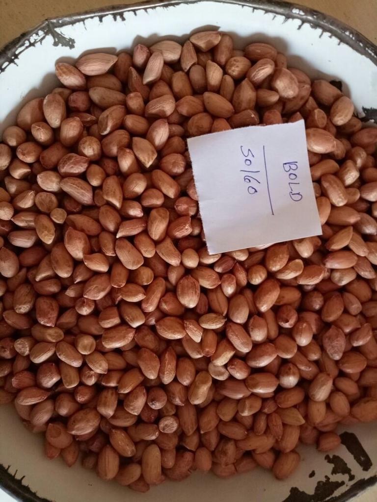 Raw Peanut - Moisture (%): 8