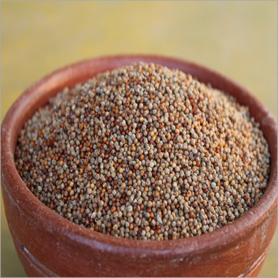 Finger Millet
