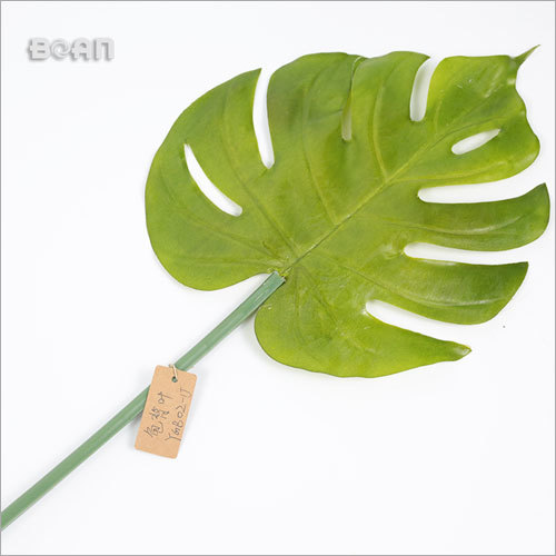  Indoor or Outdoor Leaf