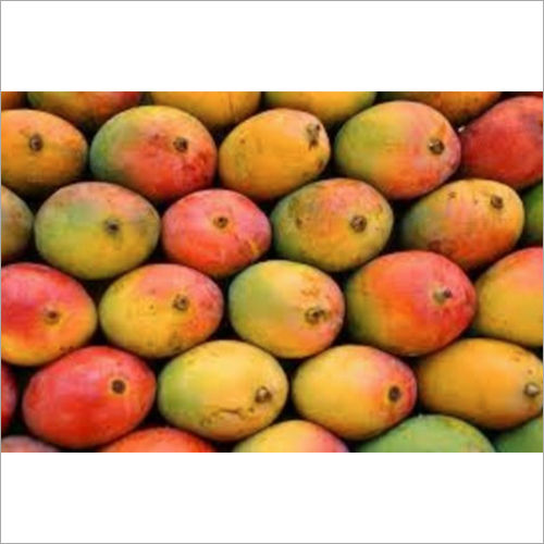 Yellowish Red Lalbaug(sindura) Mango