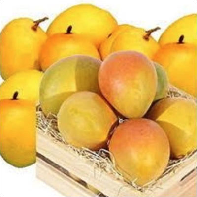 मध्यम आल्फोंसो आम