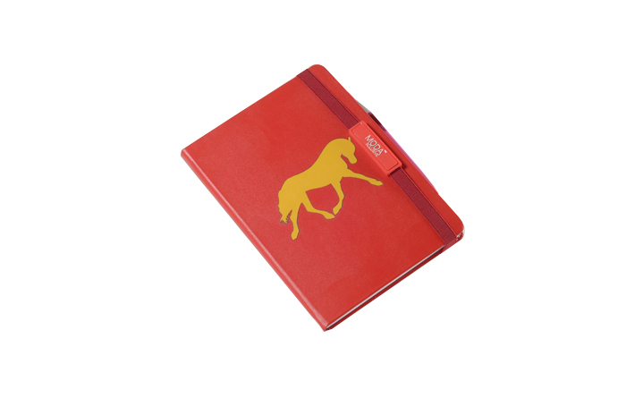 Hard Pasting Notebook (X313) - Binding: Sewing Binding