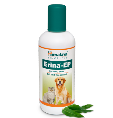 Erina Ep Shampoo 200Ml-General Ingredients: Plant Extract