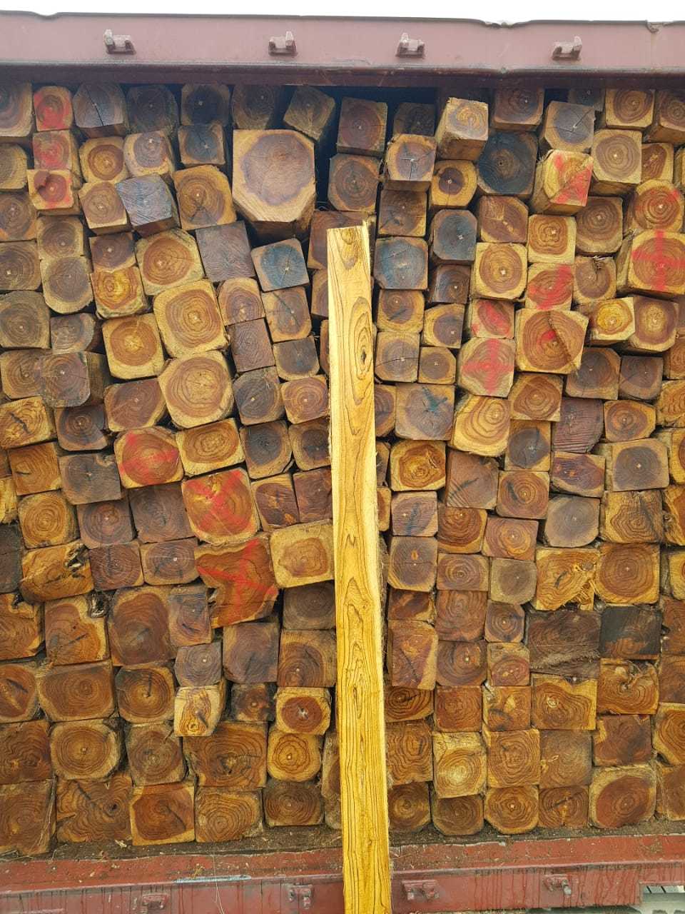 Ecuador Teak Logs