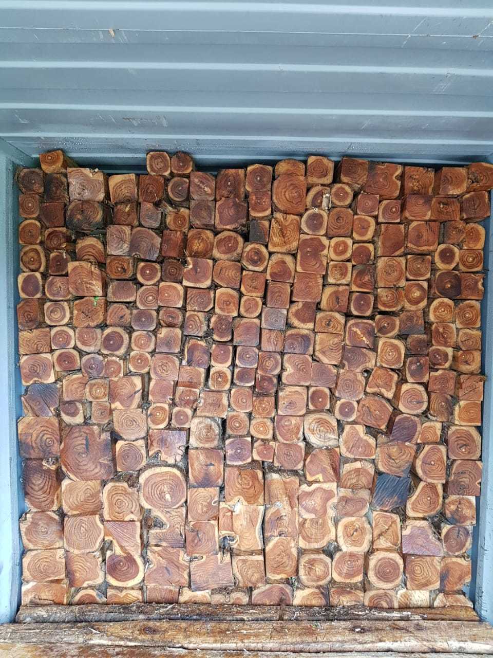 Ecuador Teak Logs