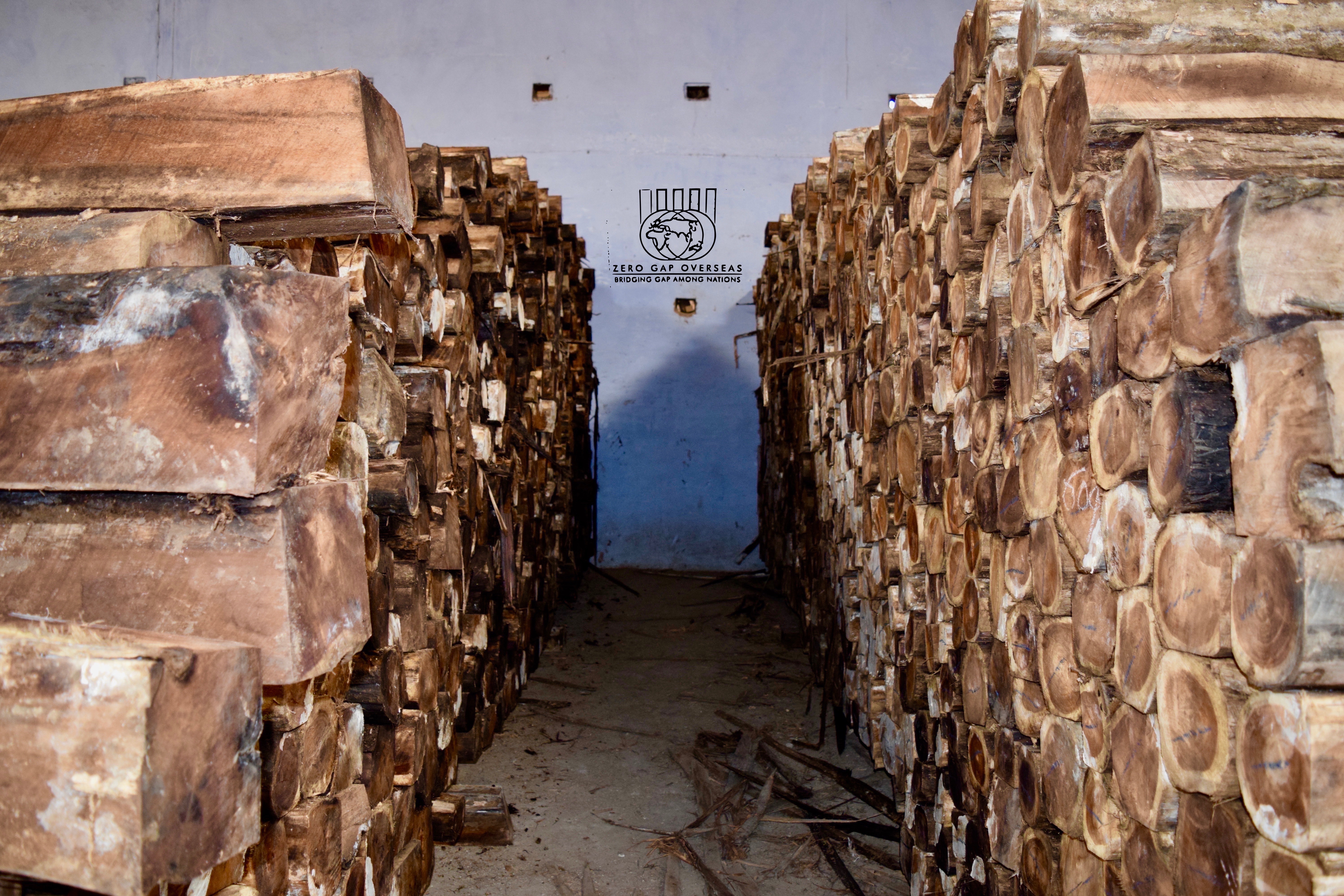 Ecuador Teak Logs