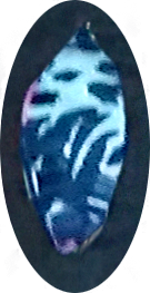 Yoga Legging With Custom Printed Pocket Age Group: Adults