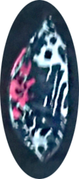 Yoga Legging With Printed Pocket Age Group: Adults