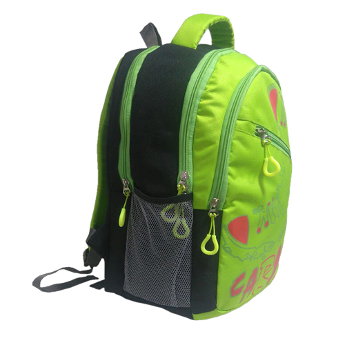 Green Trendy College Bag