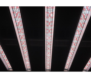 640w Led Grow Light Bar System Voltage: Ac85-265v