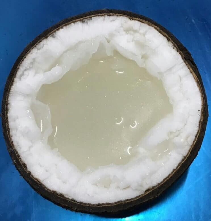 Coconut